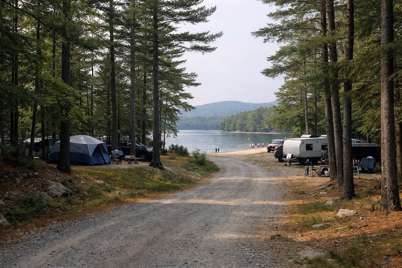 A narrow gravel campground loop road winding through pines with campsites set back among the trees