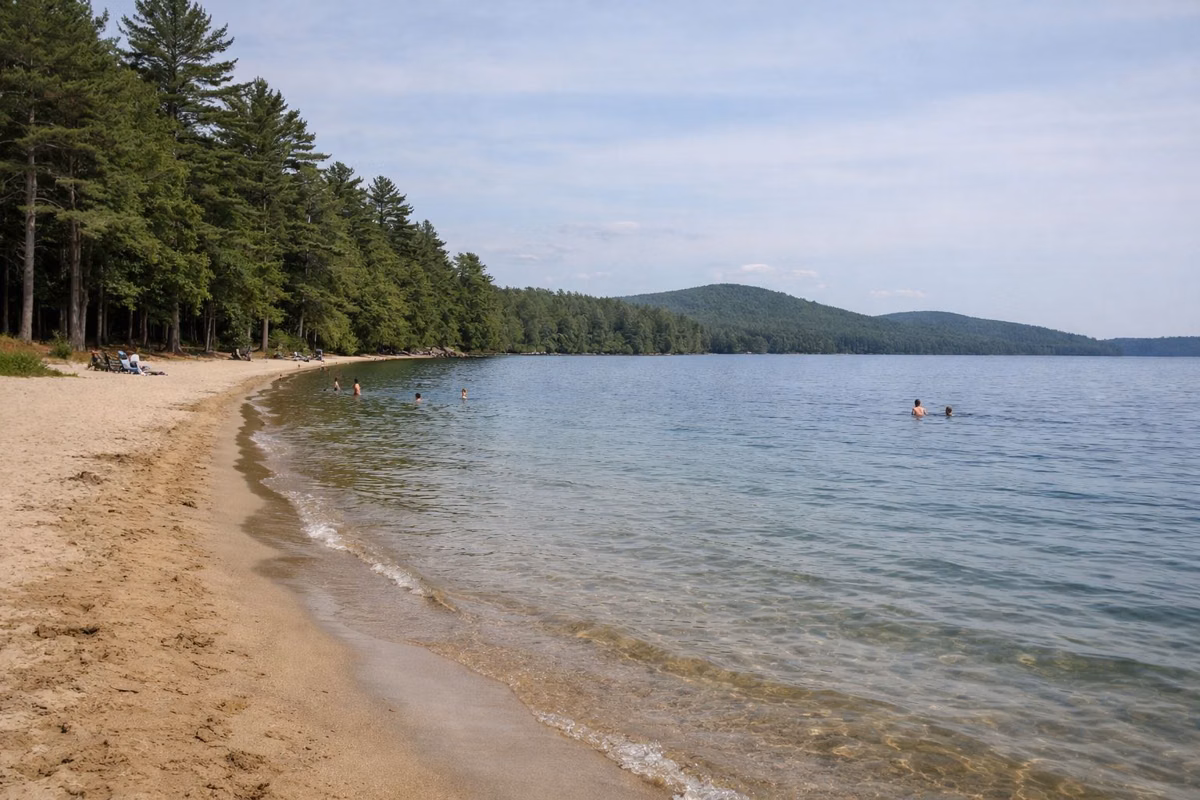 A long sandy freshwater beach with a few small distant swimmers in the shallows, pines behind, clear water