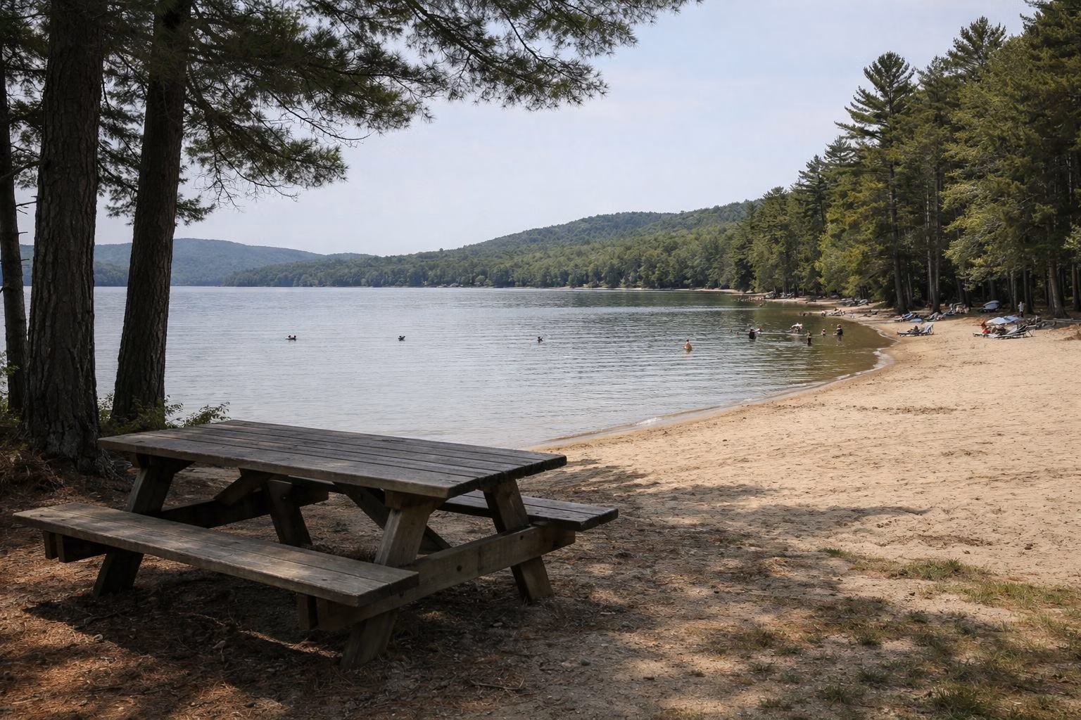 A wooden picnic table in the shade of pines beside a sandy lake beach