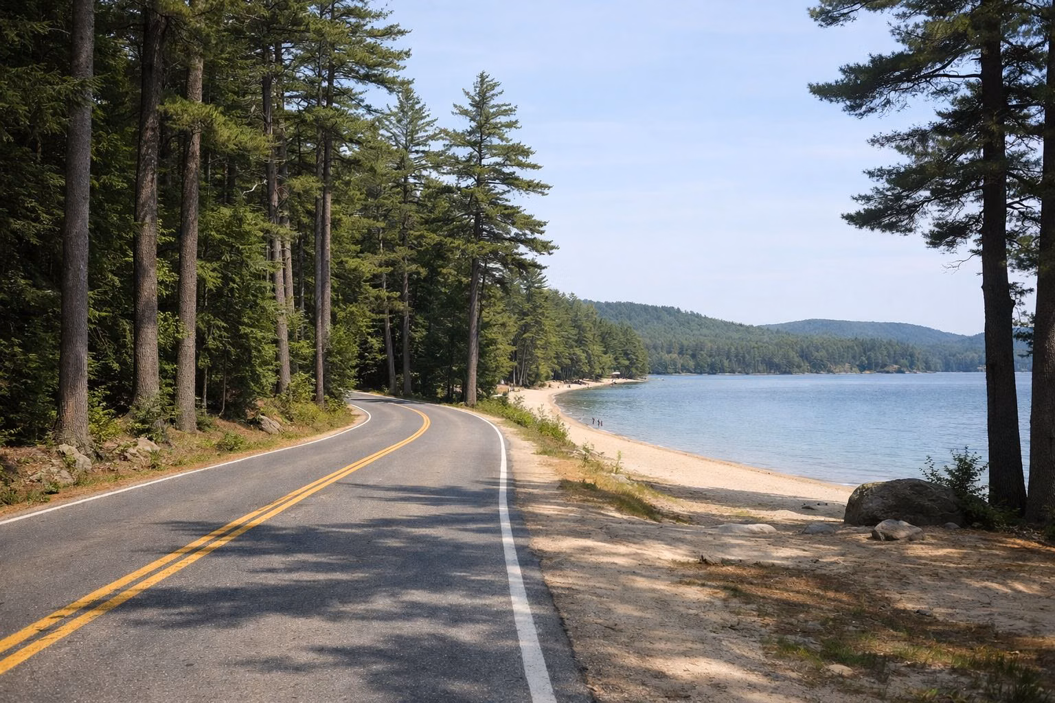 A paved two-lane park road curving through tall white pine forest, sunlight on the asphalt, no cars