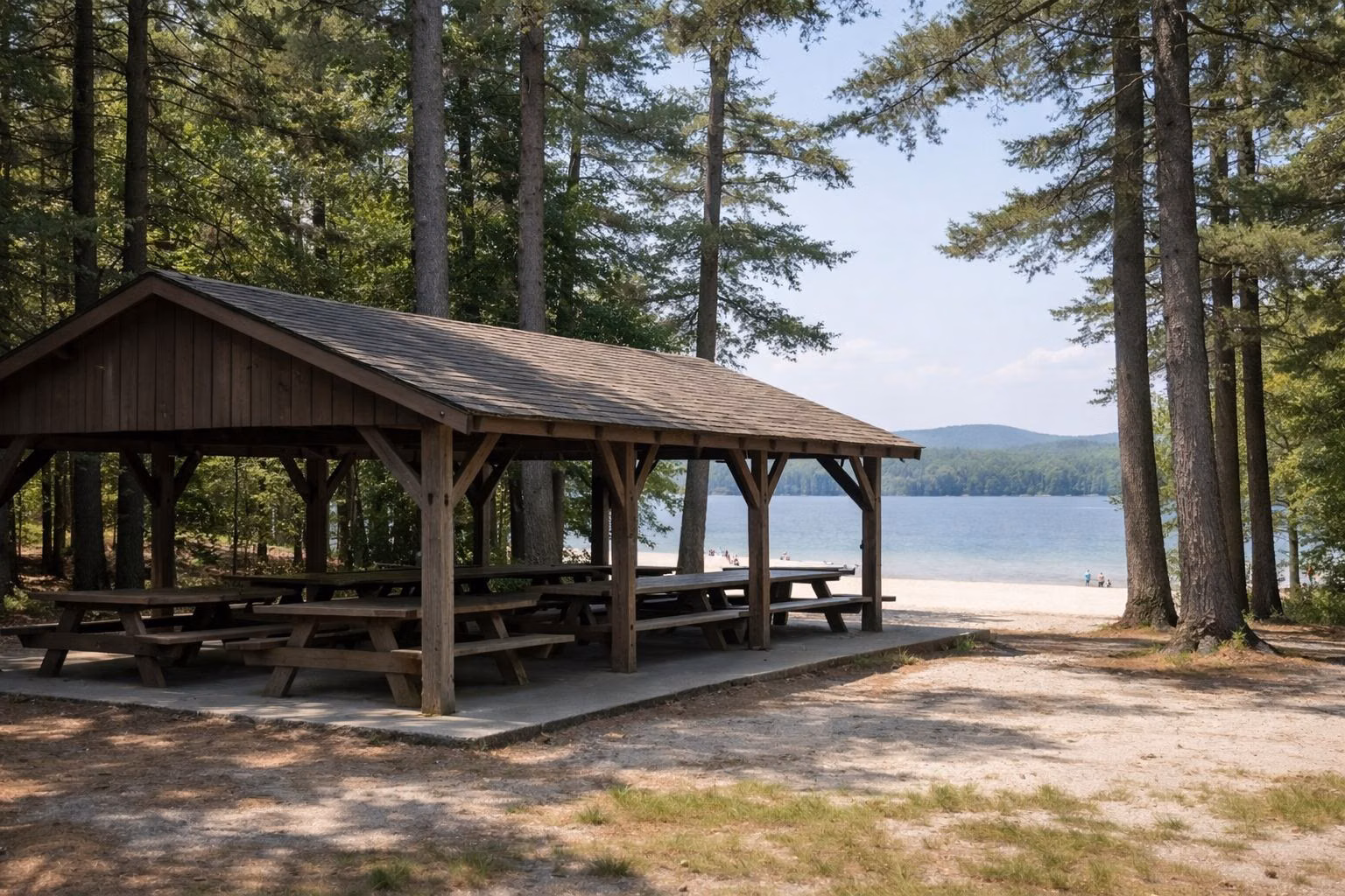 An open-sided wooden picnic pavilion with picnic tables in a pine grove, a lake visible through the trees