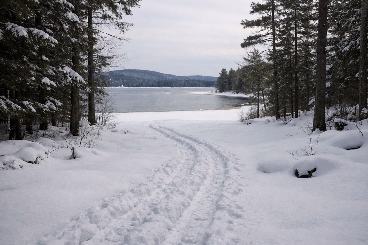 Snowshoe tracks winding through deep snow in hemlock woods